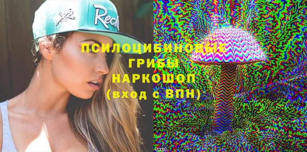 прущие грибы Алексин