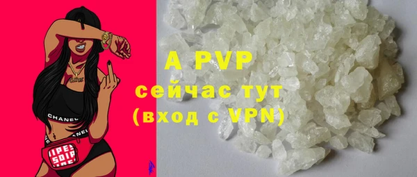 прущие грибы Абдулино