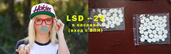 прущие грибы Алексин