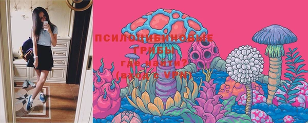 шишки Алексеевка