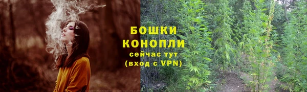 шишки Алексеевка