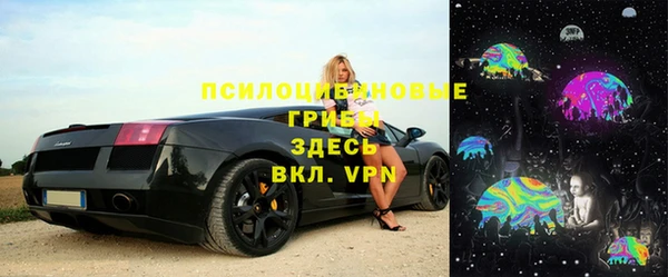гидропоника Абаза