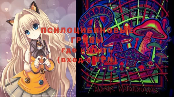 шишки Алексеевка