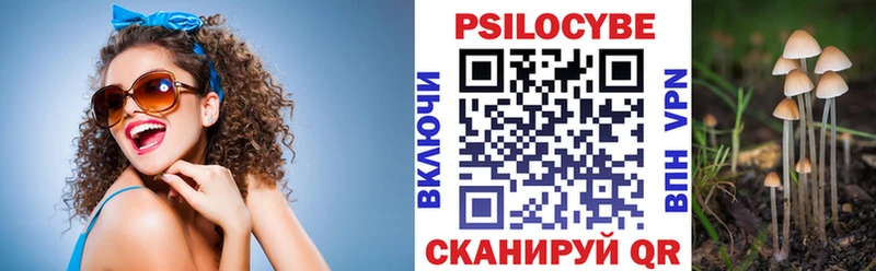 Галлюциногенные грибы Psilocybine cubensis  Ялта 