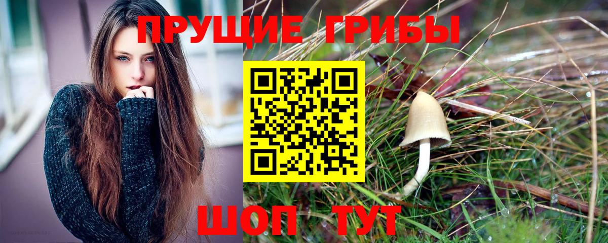Галлюциногенные грибы Cubensis Ялта